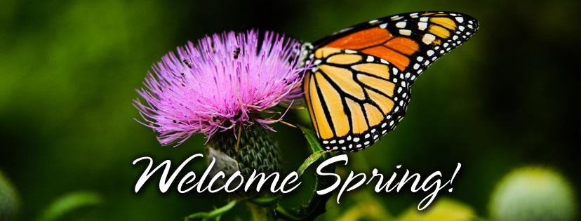 a butterfly on a flower and message saying welcome spring