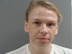 Mugshot of WALLIN, JERRI