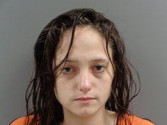 Mugshot of HAMMONS, CASEY