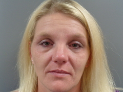 Mugshot of COLEMAN, LEESA