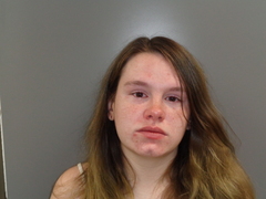Mugshot of LUDWIG, JULIA