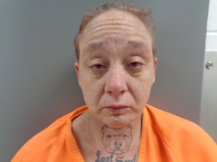 Mugshot of LYONS, BRANDIE