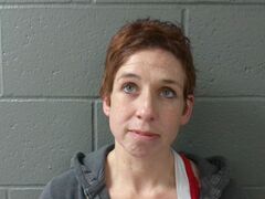 Mugshot of ELLIS, MELISSA