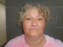 Mugshot of REINS, MICHELLE