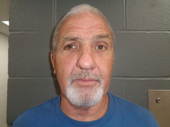 Mugshot of STURGIS, DANNY