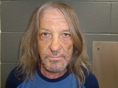 Mugshot of YOUNG, LYNN