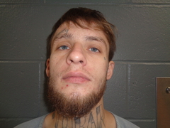 Mugshot of PFLAUMER, DALTON,MICHAEL