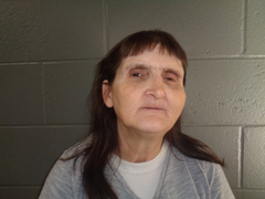 Mugshot of BOYCE, TAMMY