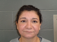 Mugshot of HILL, CHRISTINA