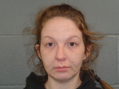 Mugshot of HOWARD, AUDREY
