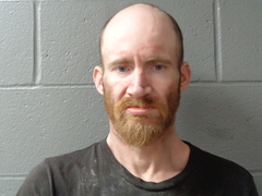 Mugshot of VILLNEFF, GERALD