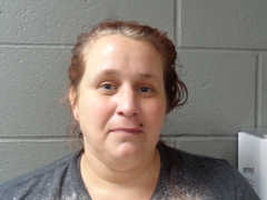 Mugshot of BREWER, CAROLE