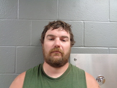 Mugshot of WILSON, JORDAN