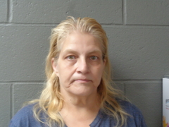 Mugshot of MEADOWS, DARLENE