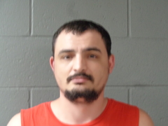 Mugshot of CHAPPS, JOSEPH