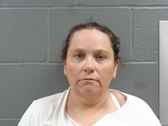 Mugshot of FITZGERALD, KENDRA