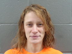 Mugshot of PAYTON, APRIL