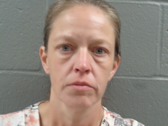 Mugshot of BROWN, JESSICA